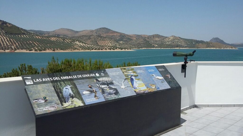 Observación de aves Iznájar